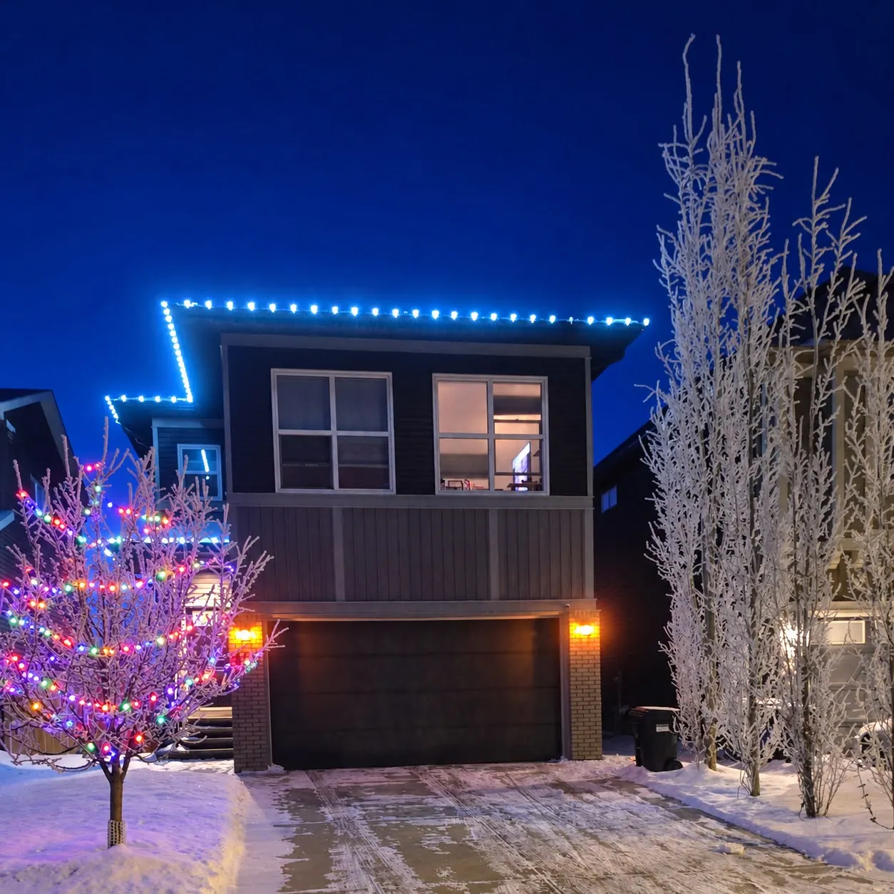 Young tree in front of a modern home with its canopy wrapped in multicolour mini lights, under an ice blue roofline, at dusk